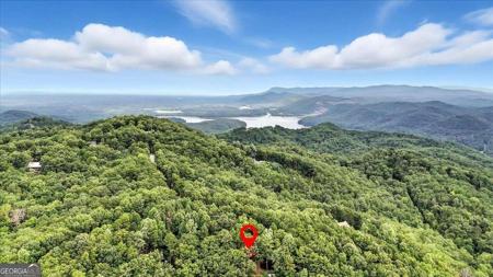 538 Galaxy Way NE, Ranger GA 30734