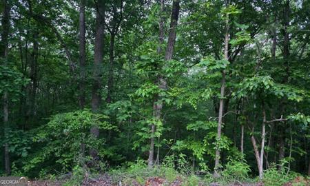 Old Mckaskey Creek Road SE, Cartersville GA 30121