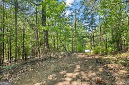 Lot 30, Clarkesville GA 30523 Highlands Lake Trail