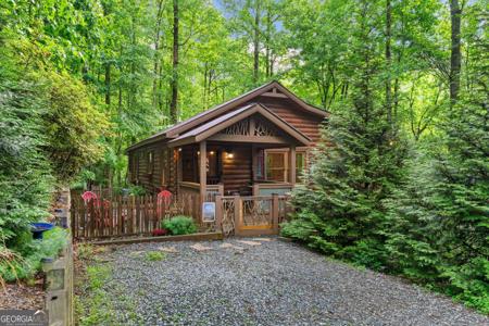 23 Holly Hollow Court, Cherry Log GA 30522