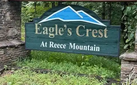LTS 43 & 44 Reece Mountain Road, Ellijay GA 30536