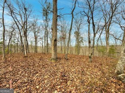 LTS 156 & 157 Harris Creek Drive, Ellijay GA 30540