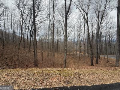 Lot 7 Rocky Knob Drive # 7, Young Harris GA 30582