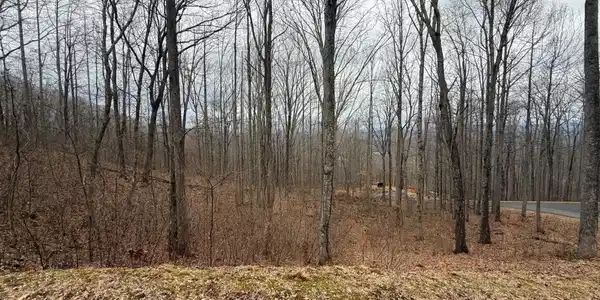 Lot 7 Rocky Knob Drive # 7, Young Harris GA 30582