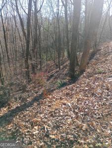 0 LOT 11A E Sugarbush
