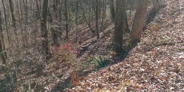 0 LOT 11A E Sugarbush