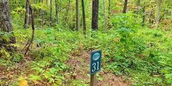 Lot 31 Skyview Drive, Hayesville NC 28904