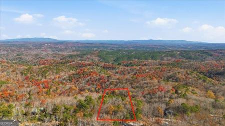 1166 Hunter Drive, Ranger GA 30734