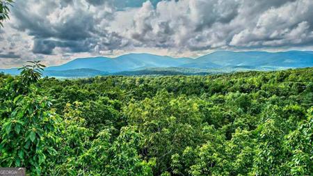 17.67 AC Rainbow Ridge Road, Ellijay GA 30536