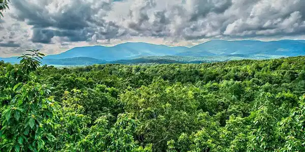 17.67 AC Rainbow Ridge Road, Ellijay GA 30536