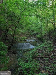 772 Naomi Court, Ranger GA 30734