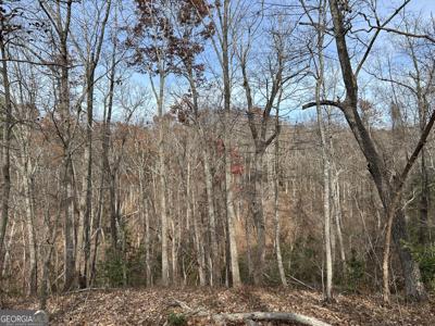 Highway 105, Baldwin GA 30511