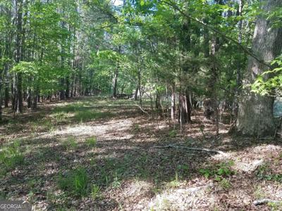 Browning Road, Rockmart GA 30153