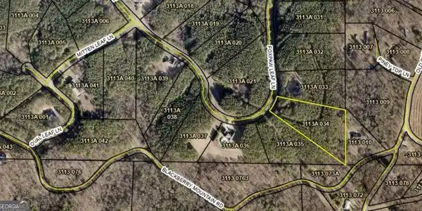Lot 34 Fox Paw Leaf (Lot 34) Lane, Ellijay GA 30540