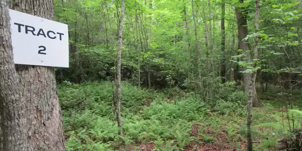 East New Hope Road # 2, Ellijay GA 30536