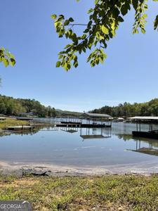 .60 ACRES PN Watkins Road
