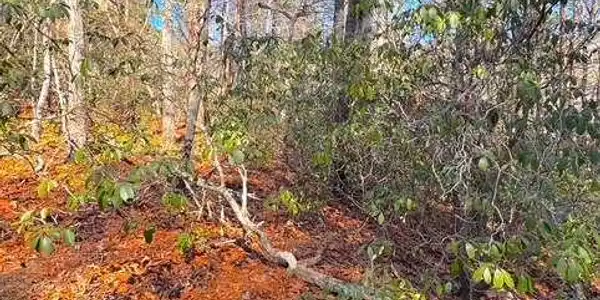 Lot 817 Horse Cove Court, Jasper GA 30143
