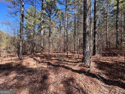 Lot 50 Deyton Drive, Blairsville GA 30512