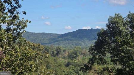 611 Pack Road NE, Ranger GA 30734