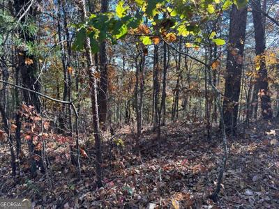 1686 Shade Tree Drive, Talking Rock GA 30175