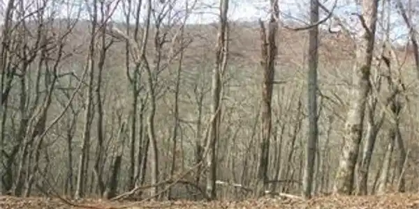 1069 Deer Run