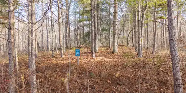 Lot 186 Harris Ridge Lane, Ellijay GA 30540