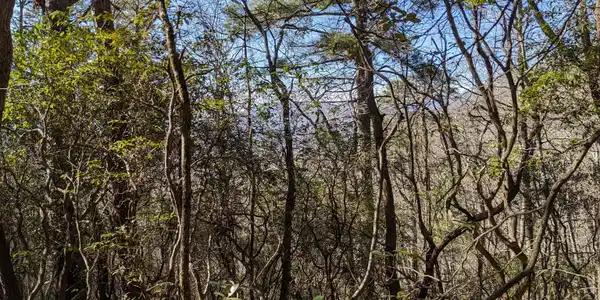 0 Evergreen Lane