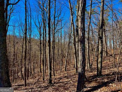 37 Clear Creek Acres