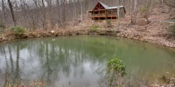 442 N Burgess Gap Road, Morganton GA 30560