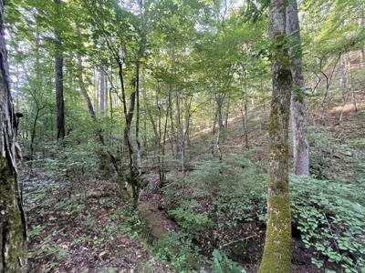 514 Marque Lane NE, Ranger GA 30734