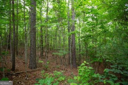 6480A Highway 52 W, Dahlonega GA 30533