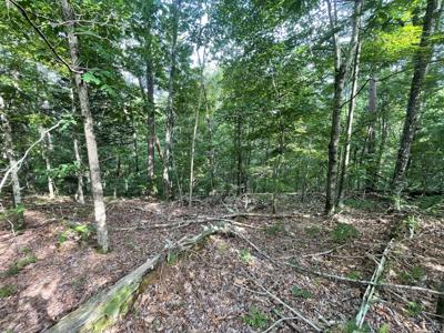 88 Muslin Drive NE, Ranger GA 30734