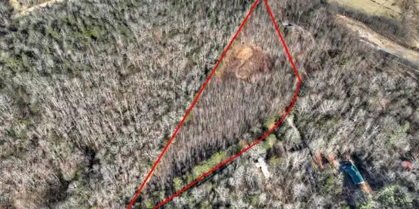 LT 131 & 132 Pack Creek Road, Blue Ridge GA 30513