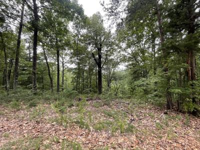 1401 Foxhound Trail NE, Ranger GA 30734