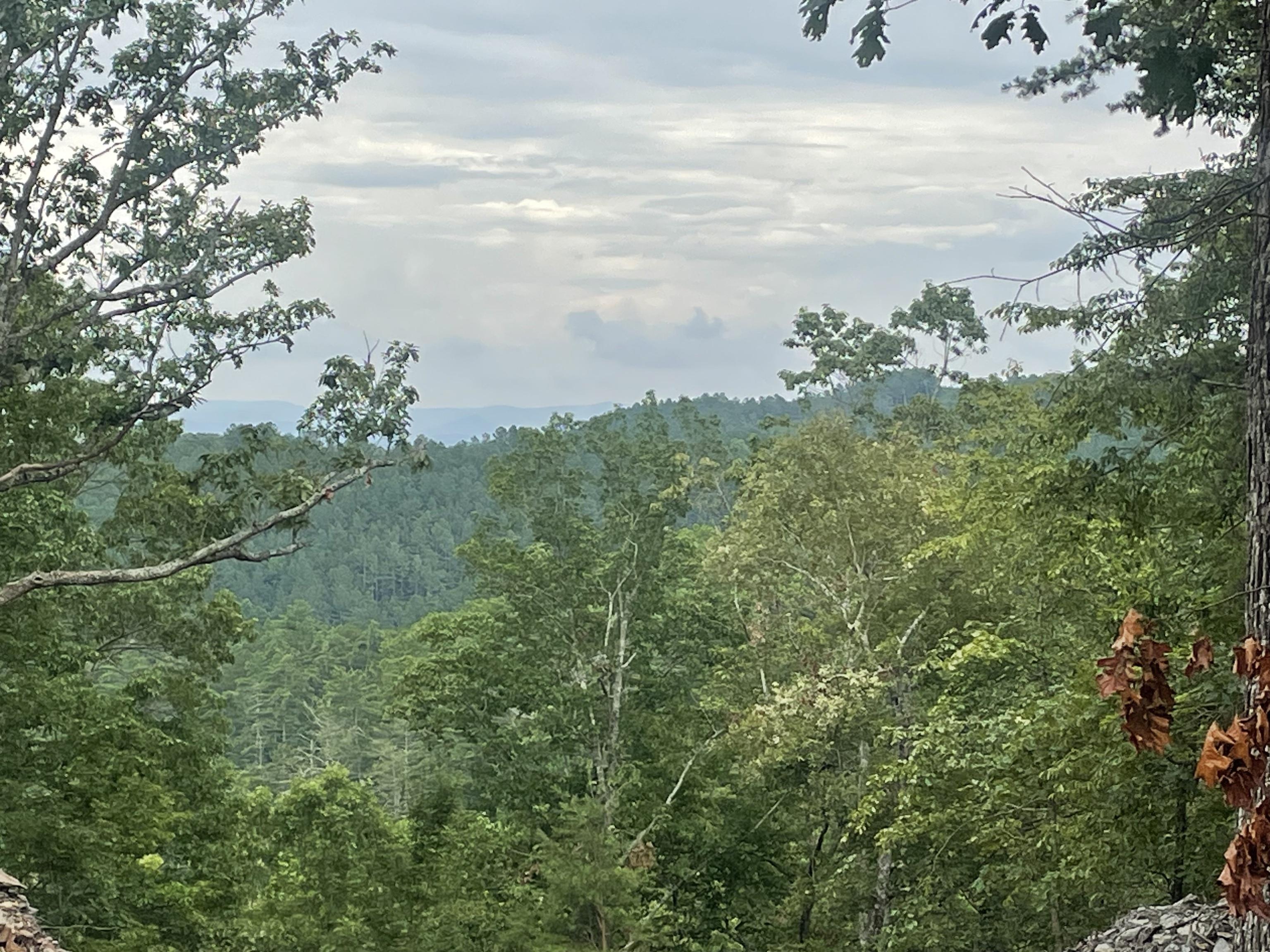 Image 4: View headed down Foxhound