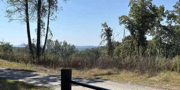 Lot 2, Ranger GA 30734 2 EAST Dry Pond Road