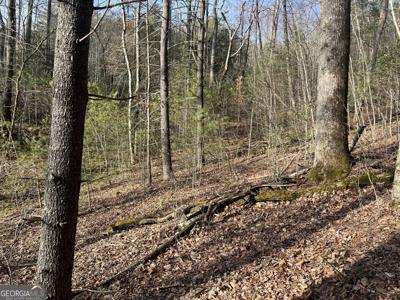 Lot 30 Winter Court, Dillard GA 30537