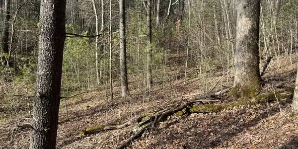 Lot 30 Winter Court, Dillard GA 30537