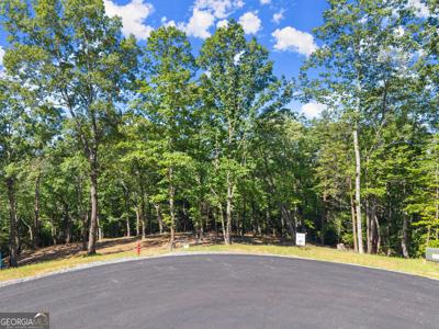 228 Chimney Oaks Trail, Cleveland GA 30528