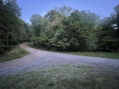 595 Ocelot Trail NE, Ranger GA 30734