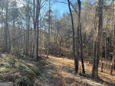 2 Old Miller Rock Road, Ellijay GA 30540