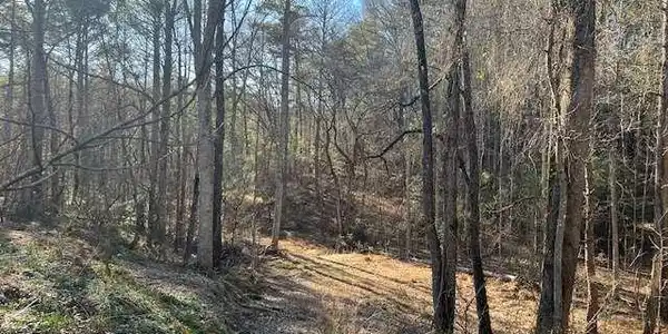 2 Old Miller Rock Road, Ellijay GA 30540