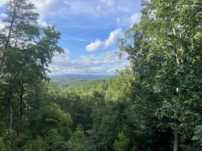 1094 Mayfield Lane NE, Ranger GA 30734