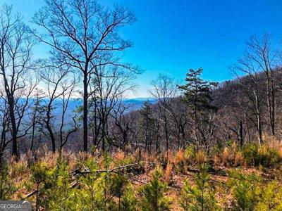 00 Coopers Gap Road Road