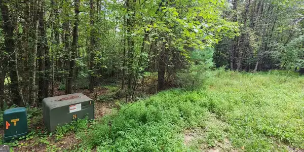 Lot 45 Old Mill Pond Road, Mineral Bluff GA 30559