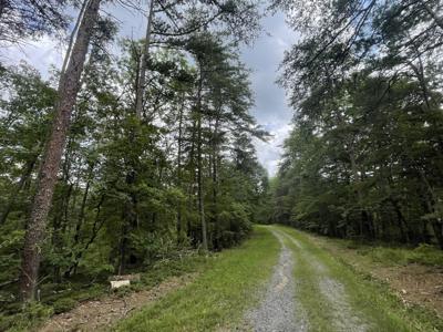 1494 Derby Court NE, Ranger GA 30734