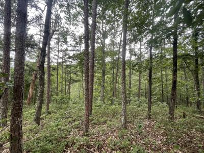 1314 Arrow Court, Ranger GA 30734