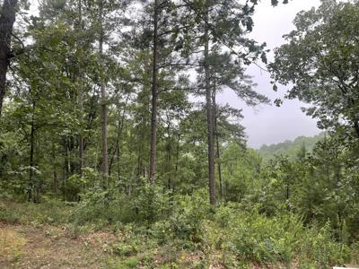 425 Marble Court, Ranger GA 30734