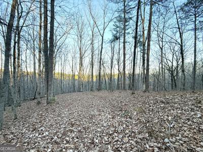 128 Adair Drive, Ranger GA 30734