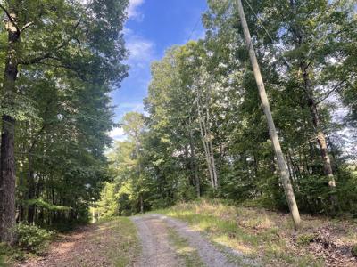 1063 Mayfield Lane NE, Ranger GA 30734